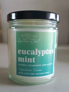 All Soy Jar Candle-Eucalyptus Mint, burns approx 60 hours Celebrating Home NEW